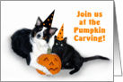 Halloween Dog and Cat, Pumpkin Carving card