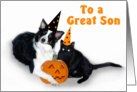 Halloween Dog and Cat, Son card