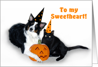 Halloween Dog and Cat, Sweetheart card