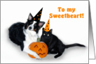 Halloween Dog and Cat, Sweetheart card