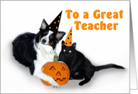 Halloween Dog and Cat, Teacher card