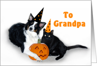 Halloween Dog and Cat, Grandpa card