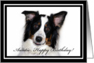 Australian Shepherd Happy Birthday Auntie card
