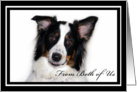 Australian Shepherd Happy Birthday from Both of us card