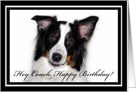 Australian Shepherd Happy Birthday Coach card