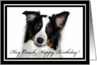 Australian Shepherd Happy Birthday Coach card