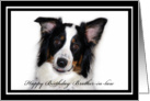 Australian Shepherd Happy Birthday Brother-in-law card