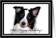 Australian Shepherd Happy Birthday Dad card