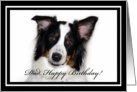 Australian Shepherd Happy Birthday Dad card