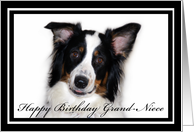 Australian Shepherd Happy Birthday Grand-Niece card