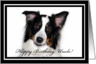 Australian Shepherd Happy Birthday Uncle card