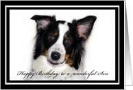 Australian Shepherd Happy Birthday Son card