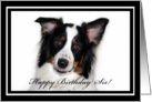 Australian Shepherd Happy Birthday Sister card
