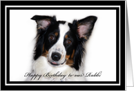 Australian Shepherd Happy Birthday Rabbi card