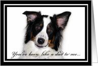 Australian Shepherd Happy Birthday Personal Like a Father card