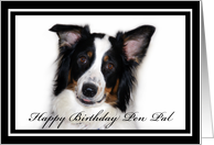 Australian Shepherd Happy Birthday Pen Pal card