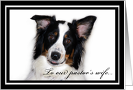 Australian Shepherd Happy Birthday Pastor’s Wife card