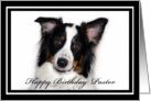 Australian Shepherd Happy Birthday Pastor card