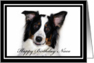 Australian Shepherd Happy Birthday Niece card