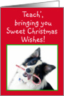 Australian Shepherd Sweet Christmas,Teacher card