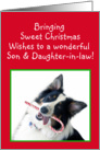 Australian Shepherd Sweet Christmas, Son and Daughter-in-law card