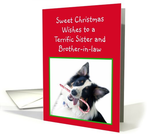 Australian Shepherd Sweet Christmas, Sister and Brother-in-law card