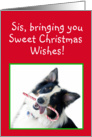 Australian Shepherd Sweet Christmas, Sister card