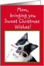 Australian Shepherd Sweet Christmas, Mom card