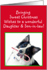 Australian Shepherd Sweet Christmas, Daughter and Son-in-law card