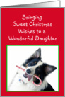 Australian Shepherd Sweet Christmas, Daughter card
