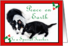 Australian Shepherd and Cat Peace on Earth, Teacher card
