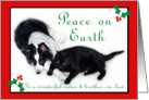 Australian Shepherd and Cat Peace on Earth, Sister and Brother-in-law card