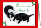 Australian Shepherd and Cat Peace on Earth, card