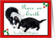 Australian Shepherd and Cat Peace on Earth, Nephew card