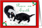 Australian Shepherd and Cat Peace on Earth, Nephew card
