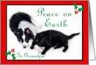 Australian Shepherd and Cat Peace on Earth, Grandpa card