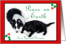 Australian Shepherd and Cat Peace on Earth, Friend card