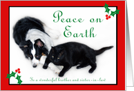 Australian Shepherd and Cat Peace on Earth, Brother and Sister-in-law card