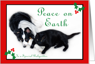 Australian Shepherd and Cat Peace on Earth, Babysitter card