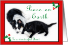Australian Shepherd and Cat Peace on Earth, Aunt card