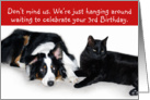 Hanging Around, Birthday 3 card