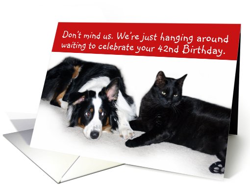 Hanging Around, Birthday 42 card (485350)