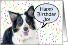 Happy Birthday Aussie, Jo card