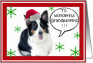 Santa Aussie, Grandparents card