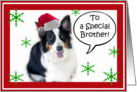 Santa Aussie, Brother card