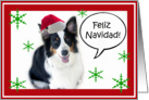 Santa Aussie, Feliz Navidad card