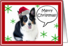 Santa Aussie, Merry Christmas card