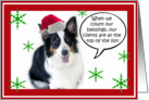 Santa Aussie, Clients card