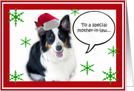 Santa Aussie, mother-in-law card