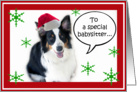 Santa Aussie, Babysitter card